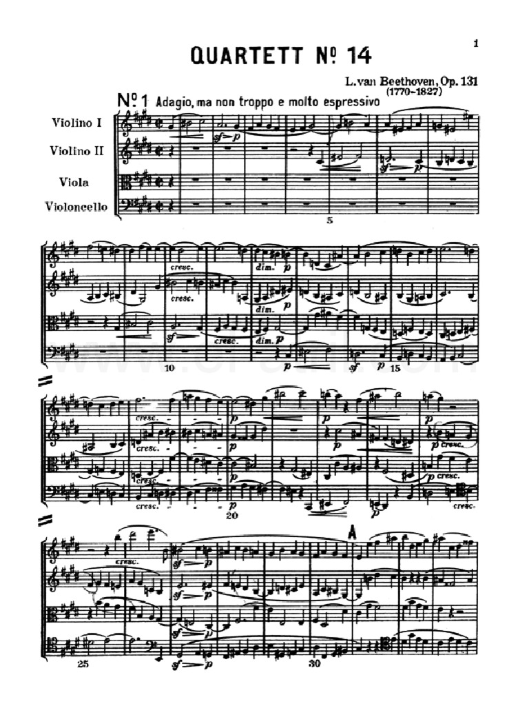 OP 131 Beethoven Cuarteto para Cuerdas N 14 en Do Sostenido Menor PDF