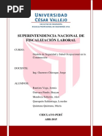 265951167-SUNAFIL-INFORME.pdf
