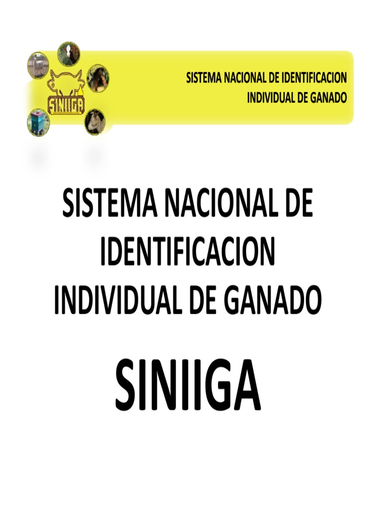 Qué es el SINIIGA y su importancia | PDF | Ganado | Naturaleza