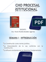 Derecho Procesal Constitucional 1