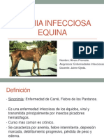 Anemia Infecciosa Equina