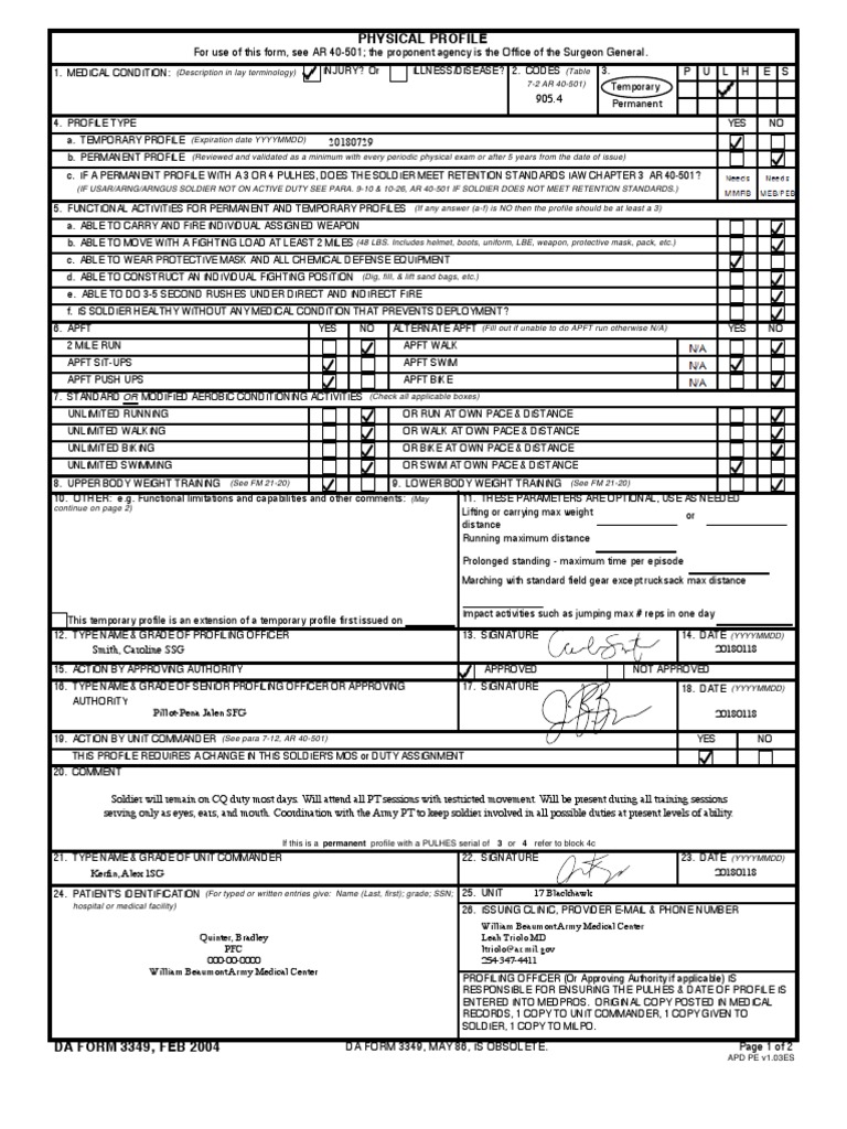 da-form-3349-profile-form-pdf-wellness-medical