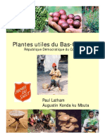 Plantes_utiles_du_Bas-Congo.pdf