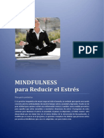 Mindfulness para Reducir El Estrés2