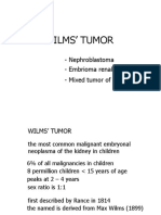 Wilms' Tumor: - Nephroblastoma - Embrioma Renale - Mixed Tumor of The Kidney