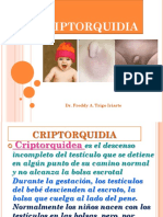 Aula 11.1 (15.09) - Dr. Trigo - Criptorquidia 2.017