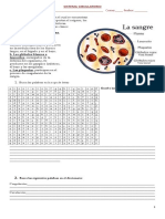 guia-2-sistema-circulatorio1.doc