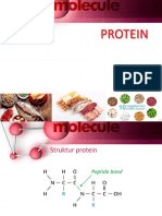 PROTEIN-2.pptx