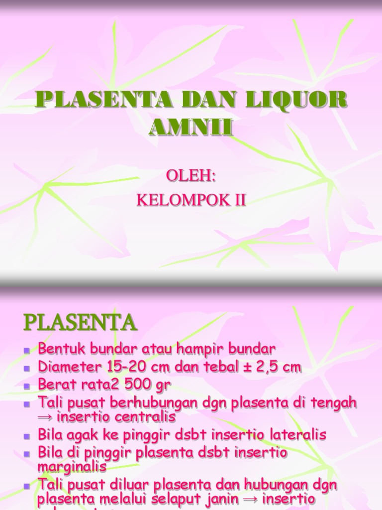 Plasenta Dan Liquor Amnii PDF