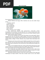 Download 600 Koleksi Gambar Flora Moras Macraura Paling Bagus HD