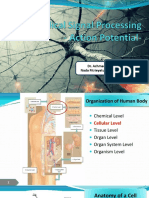 [2] Action Potential in Neural Tissue.pdf