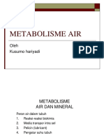 It 09 Metabolisme Air