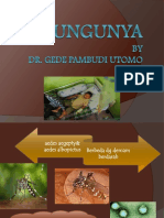 Ppt Chikungunya Peni