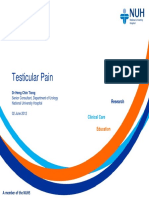 Testicular Pain: DR Heng Chin Tiong