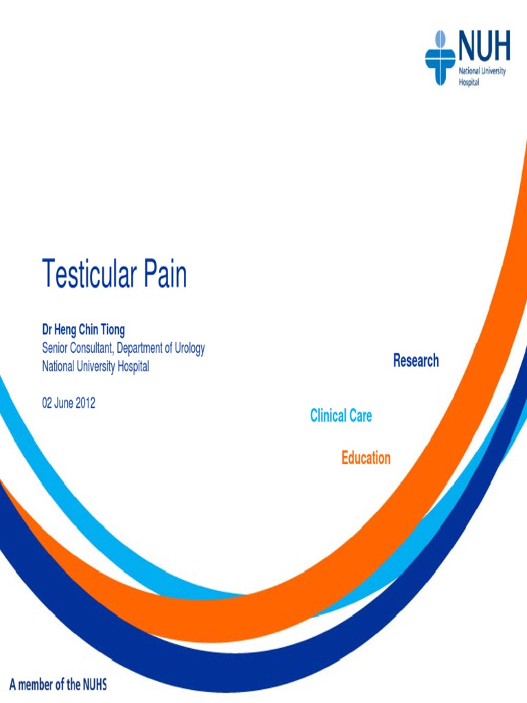 Testicular Pain DR Heng Chin Tiong PDF Medical Specialties