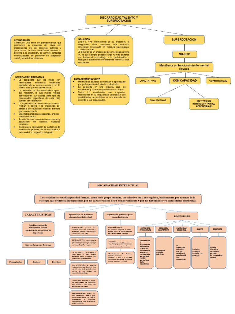 MAPAS MENTALES | Discapacidad intelectual | Invalidez