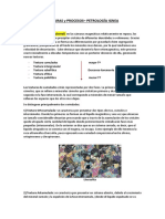 Texturas y procesos petrográficos en rocas ígneas