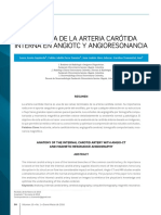 Anatomia de La Arteria Carotida Interna en Angiotc y Angioresonancia