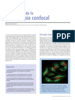 Confocal 1