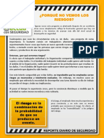 Reporte Diario SSO PDF