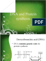 DNA and Protein Synthesis