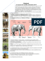 Un Exposé de Camille, Décembre 2013: L'éléphant