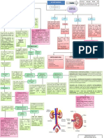 Diagrama de Flujo Del Sistema Urinario