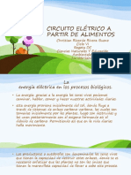 Circuito Eléctrico A Partir de Alimentos