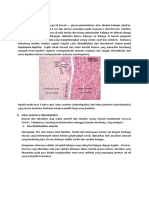 LI Case 13 Histologi Hipofisis Hormon Fungsi
