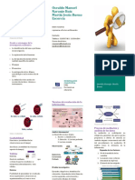 Folleto Investigación Cualitativa Upel