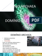 Biologia -DOMI¦üNIO ARCHAEA.pptx
