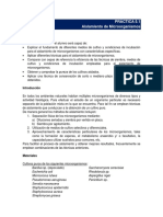 PracticaAislamientoDeMicroorganismos_21549.pdf
