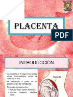 Práctica de Placenta