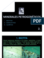 IV. Minerales Petrogenéticos 2