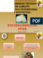encefalomielitisaviar-140614225418-phpapp01