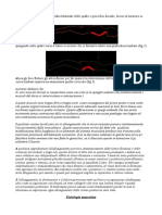 Riassunto Fisioterapia Metodo Mezieres