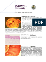 Prac_N_1_Adaptacion_Celular.pdf