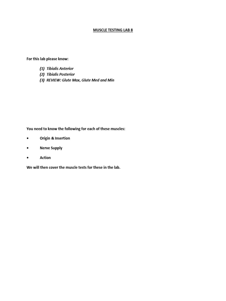 Muscle Testing Lab 8: (1) Tibialis Anterior (2) Tibialis Posterior (3 ...