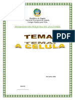 Trabalho de Anatomia 02