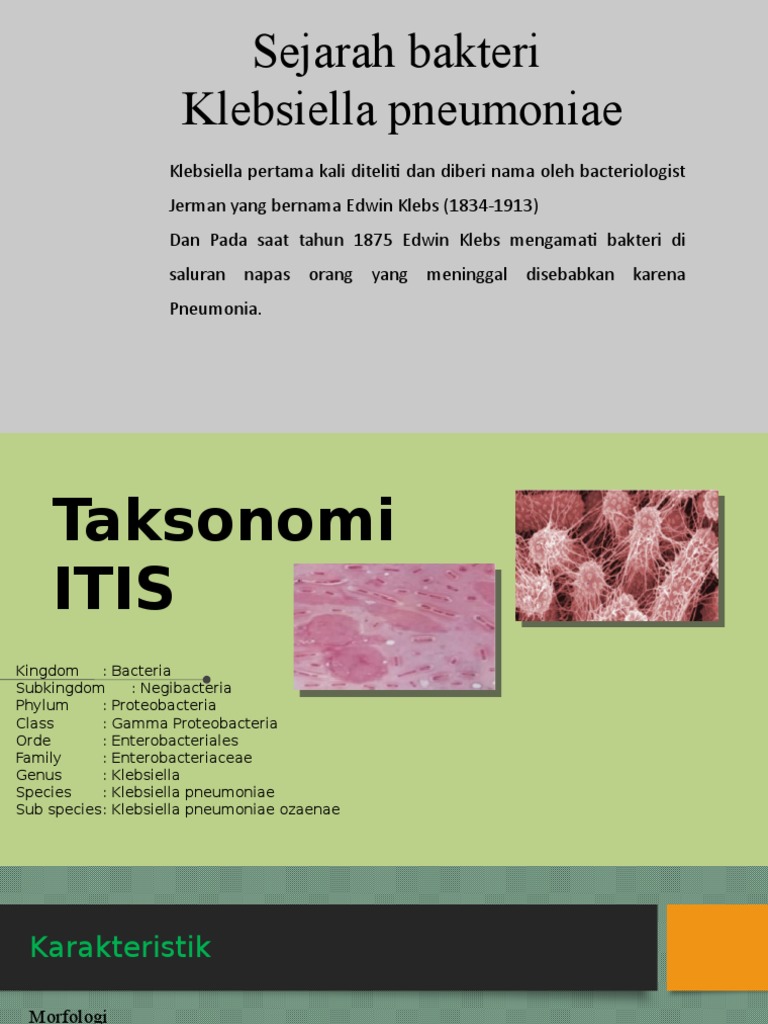 Karakteristik dan Penyebab Klebsiella Pneumoniae | PDF | Kesehatan Holistik
