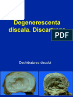 3-Discartroza.ppt