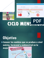 ciclo_mestrual_2017