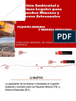 DGAAM_gestion y normas-PPM y PAM.pdf