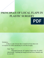 Basic Principles of Local Flap in Plastic Surgery
