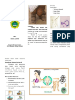 Leaflet Filariasis