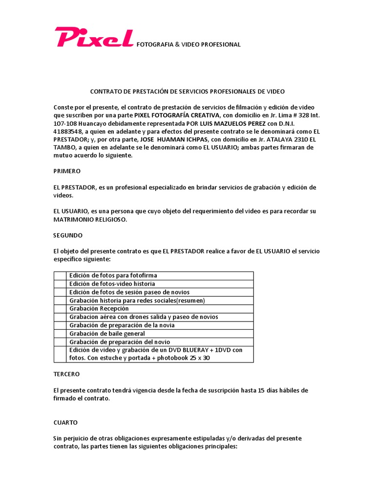 Contrato de Prestacion de Servicios Profesionales de Video