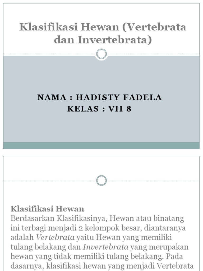 660 Gambar Klasifikasi Hewan Invertebrata Terbaru