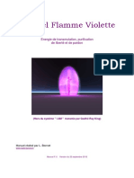LB-Manuel Flamme Violette