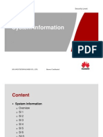 G-LII 302 System Information and Cell Data-20081028-A-2.0