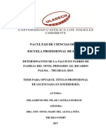 Determinantes de La Salud en Padres de Familia Del Nivel Primario .I.e. Ricardo Palma - Trujillo, 2015.